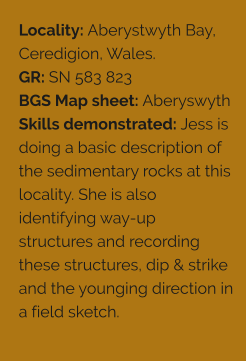 Locality: Aberystwyth Bay, Ceredigion, Wales. GR: SN 583 823 BGS Map sheet: Aberyswyth Skills demonstrated: Jess is doing a basic description of the sedimentary rocks at this locality. She is also identifying way-up structures and recording these structures, dip & strike and the younging direction in a field sketch.