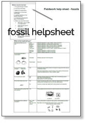 fossil helpsheet