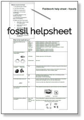 fossil helpsheet