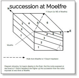 succession at Moelfre