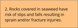2. Rocks covered in seaweed have risk of slips and falls resulting in sprain and/or fracture injuries.