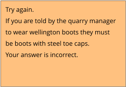 Try again.  If you are told by the quarry manager  to wear wellington boots they must  be boots with steel toe caps. Your answer is incorrect.