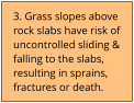 3. Grass slopes above rock slabs have risk of uncontrolled sliding & falling to the slabs, resulting in sprains, fractures or death.