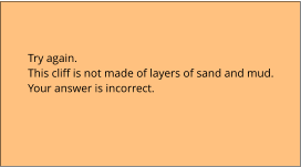 Try again.  This cliff is not made of layers of sand and mud. Your answer is incorrect.