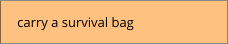 carry a survival bag