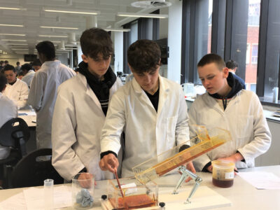 students lava experiment