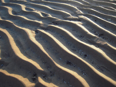 Sand Ripples