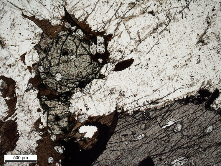Microscopy igneous rocks
